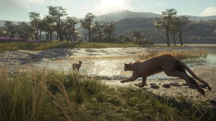 theHunter: Call of the Wild | De uma beleza nunca antes vista