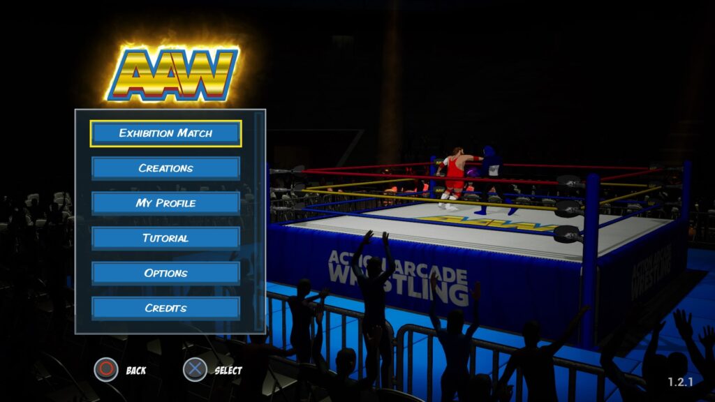 Action Arcade Wrestling